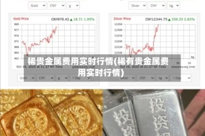 稀贵金属费用实时行情(稀有贵金属费用实时行情)