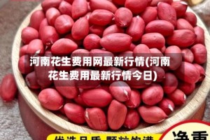 河南花生费用网最新行情(河南花生费用最新行情今日)