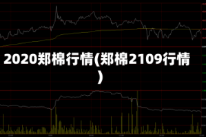 2020郑棉行情(郑棉2109行情)