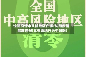 沈阳疫情中风险地区在哪/沈阳疫情最新通报!又有两地升为中风险!