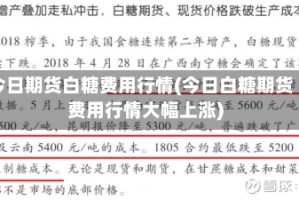 今日期货白糖费用行情(今日白糖期货费用行情大幅上涨)