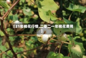 【21年棉花行情,二零二一年棉花费用】