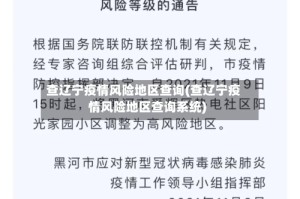 查辽宁疫情风险地区查询(查辽宁疫情风险地区查询系统)