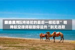 燃油费用飙升成“压垮骆驼的最后一根稻草” 精神航空律师称除停运外“别无选取”