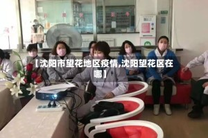 【沈阳市望花地区疫情,沈阳望花区在哪】