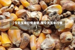 【今天玉米行情走势,搜今天玉米行情】