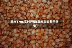 玉米1705实时行情(玉米实时费用查询)