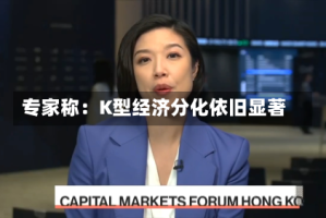专家称：K型经济分化依旧显著
