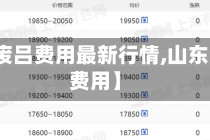 【山东废吕费用最新行情,山东省废铝费用】