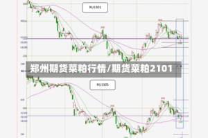 郑州期货菜粕行情/期货菜粕2101