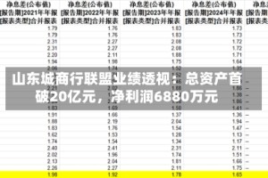 山东城商行联盟业绩透视：总资产首破20亿元，净利润6880万元