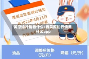 美原油行情看什么/看美原油行情用什么app