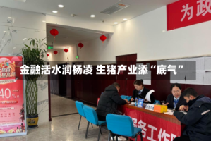 金融活水润杨凌 生猪产业添“底气”