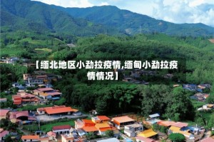 【缅北地区小勐拉疫情,缅甸小勐拉疫情情况】