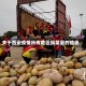 关于西安疫情所有地区捐菜量的信息