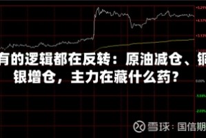 所有的逻辑都在反转：原油减仓、铜银增仓，主力在藏什么药？