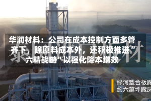 华润材料：公司在成本控制方面多管齐下，除原料成本外，还积极推进“六精战略”以强化降本增效