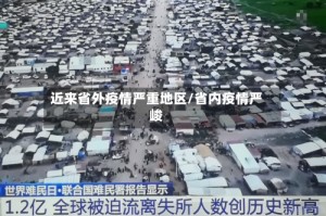 近来省外疫情严重地区/省内疫情严峻
