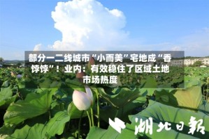 部分一二线城市“小而美”宅地成“香饽饽”！业内：有效稳住了区域土地市场热度