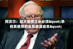 阿贝尔：超大规模企业必须"承担其使用的全部能源成本"