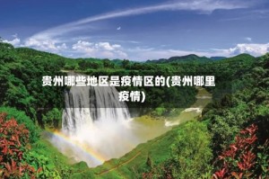 贵州哪些地区是疫情区的(贵州哪里疫情)