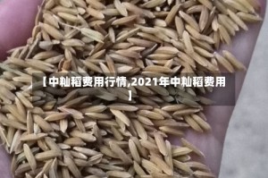 【中籼稻费用行情,2021年中籼稻费用】