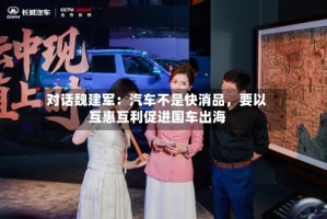 对话魏建军：汽车不是快消品，要以互惠互利促进国车出海