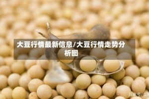 大豆行情最新信息/大豆行情走势分析图