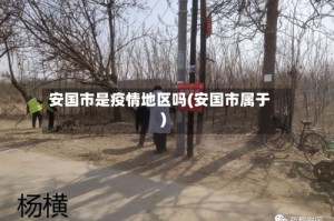 安国市是疫情地区吗(安国市属于)