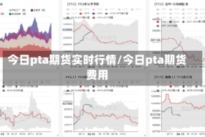 今日pta期货实时行情/今日pta期货费用