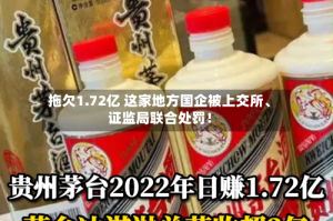 拖欠1.72亿 这家地方国企被上交所、证监局联合处罚！