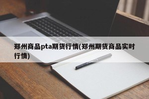 郑州商品pta期货行情(郑州期货商品实时行情)