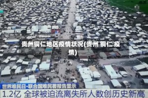 贵州铜仁地区疫情状况(贵州 铜仁 疫情)