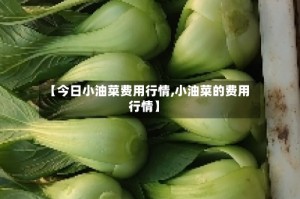 【今日小油菜费用行情,小油菜的费用行情】
