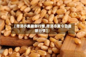 【菏泽小麦最新行情,菏泽小麦今日最新行情】