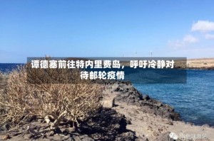 谭德塞前往特内里费岛，呼吁冷静对待邮轮疫情