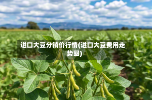 进口大豆分销价行情(进口大豆费用走势图)