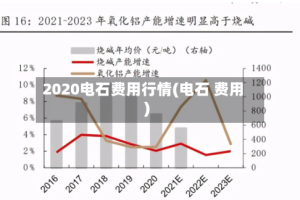 2020电石费用行情(电石 费用)