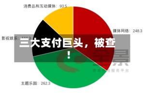 三大支付巨头，被查！