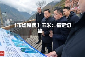【市场聚焦】玉米：锚定切换
