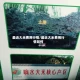 最近大米费用行情/最近大米费用行情如何