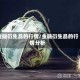 金融衍生品的行情/金融衍生品的行情分析