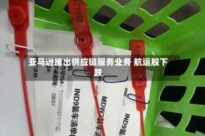 亚马逊推出供应链服务业务 航运股下跌