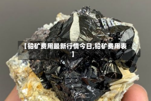 【铅矿费用最新行情今日,铅矿费用表】