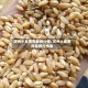滨州小麦费用最新行情/滨州小麦费用最新行情表