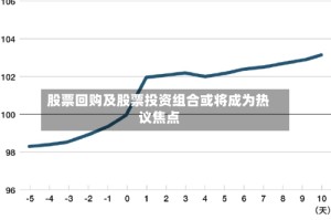 股票回购及股票投资组合或将成为热议焦点