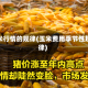 玉米行情的规律(玉米费用季节性规律)