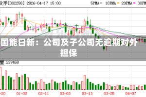 国能日新：公司及子公司无逾期对外担保