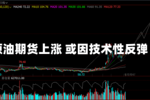 原油期货上涨 或因技术性反弹
