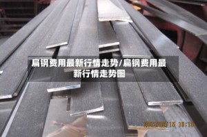 扁钢费用最新行情走势/扁钢费用最新行情走势图